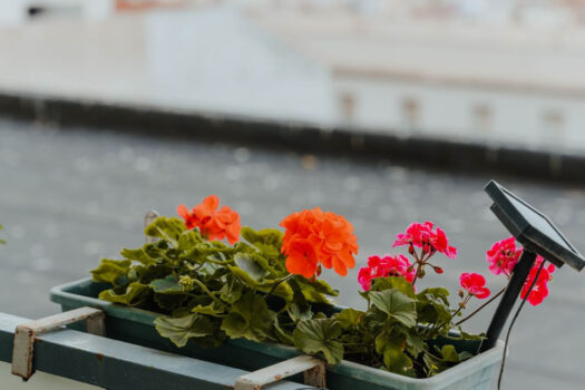 3 Bed Middle Floor Apartment for sale in Malaga Centro, Costa del Sol