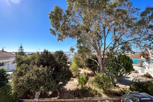 Prodej domu v Torrevieja.