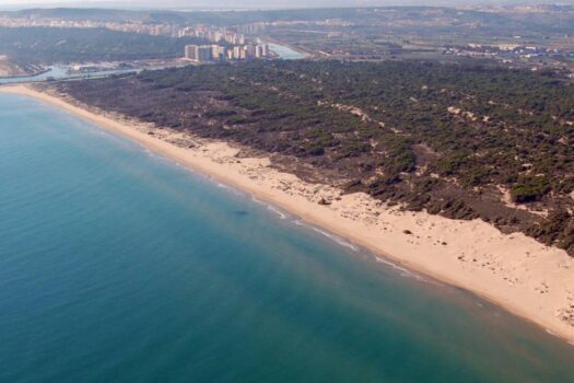 NOVOSTAVBA GUARDAMAR DEL SEGURA