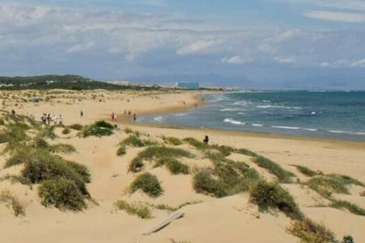 NOVOSTAVBA GUARDAMAR DEL SEGURA