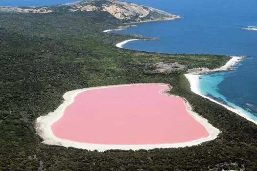 Prodej bungalovu Torrevieja