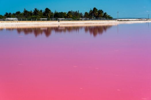 Prodej bungalovu Torrevieja