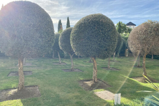 2 Bed Ground Floor Apartment for sale in Los Flamingos, Costa del Sol