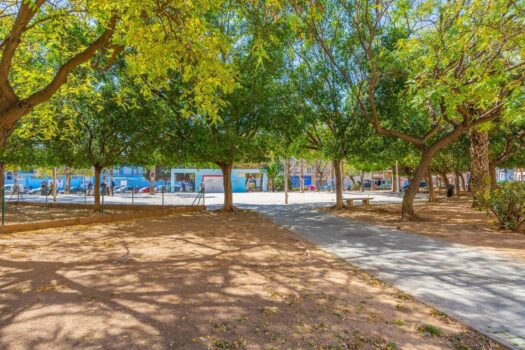 3 bedroom opportunity next to a park