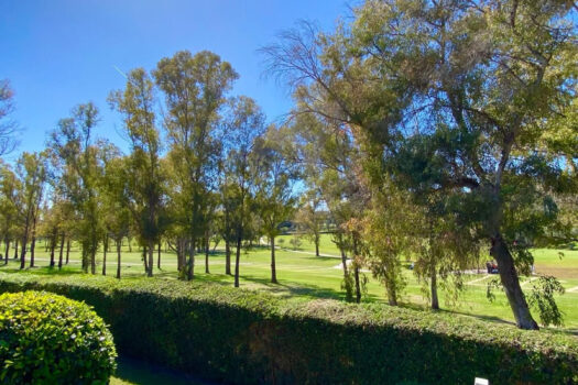 3 Bed Penthouse Apartment for sale in Atalaya, Costa del Sol