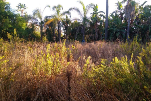 4 Bed Detached Villa for sale in Selwo, Costa del Sol