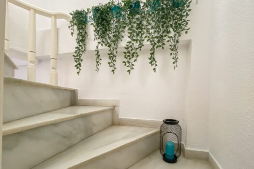 Úchvatný dům v centru Torrevieji