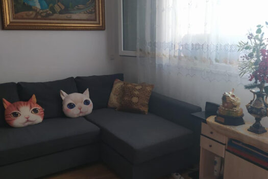 ShowFeedImage 67