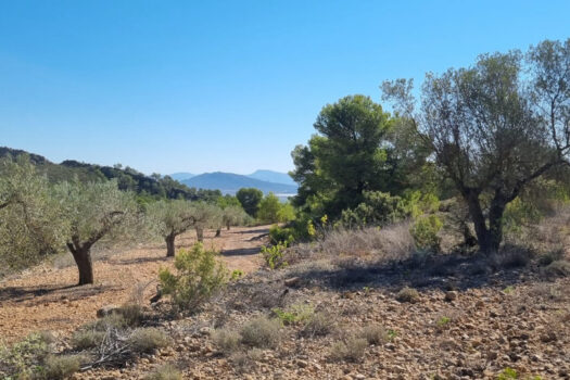 Pozemek – Alicante