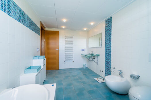 Prodej House,Alicante,780m2,Finca – Cortijo