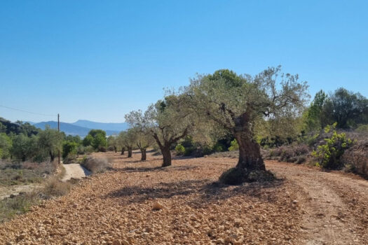 Pozemek – Alicante