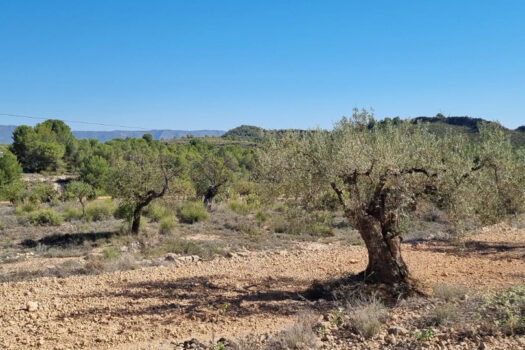 Pozemek – Alicante