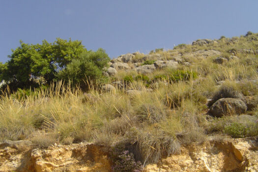 Prodej Plot,Costa del Sol,0m2,Residential Plot