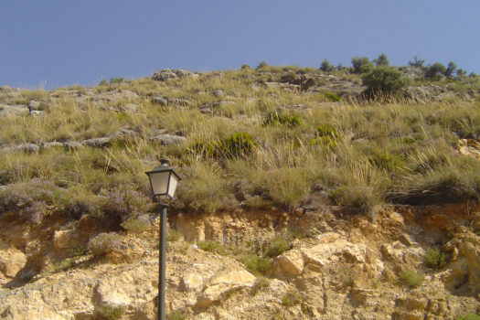 Prodej Plot,Costa del Sol,0m2,Land