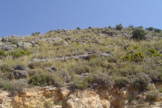 Prodej Plot,Costa del Sol,0m2,Land