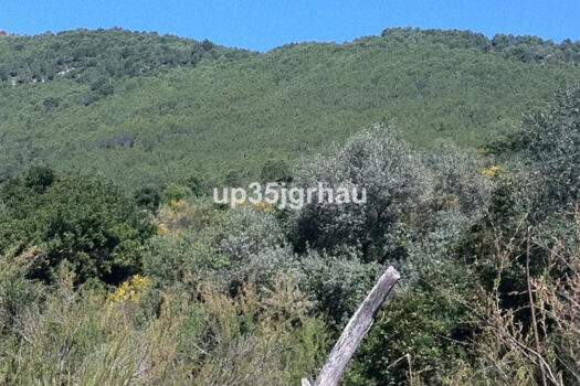 Prodej Plot,Costa del Sol,0m2,Land