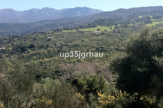 Prodej Plot,Costa del Sol,0m2,Land