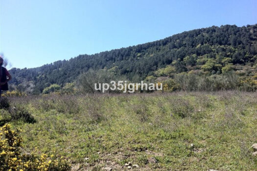 Prodej Plot,Costa del Sol,0m2,Land