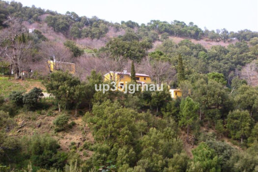 Prodej House,Costa del Sol,330m2,Finca – Cortijo