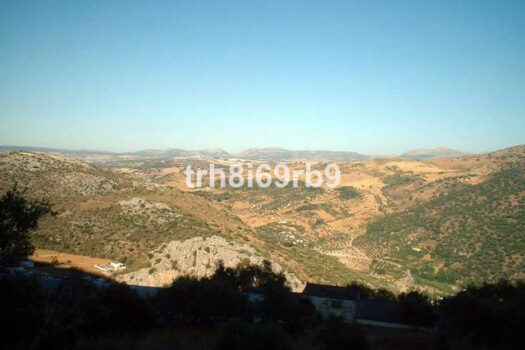 Prodej Commercial,Costa del Sol,1100m2,Warehouse