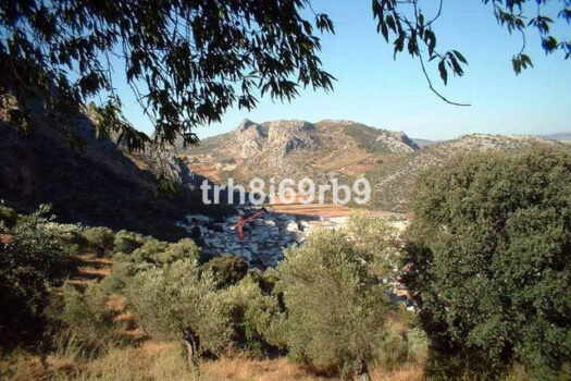 Prodej Commercial,Costa del Sol,1100m2,Warehouse