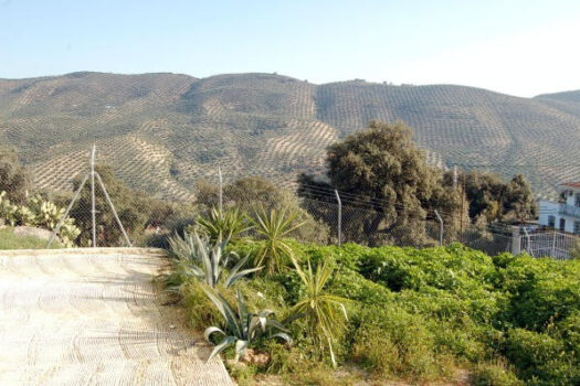 Prodej House,Cordoba,0m2,Finca – Cortijo