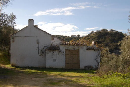 Prodej House,Cordoba,0m2,Finca – Cortijo