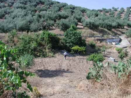 Prodej House,Cordoba,0m2,Finca – Cortijo