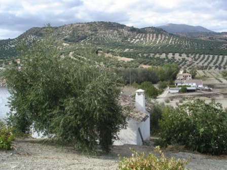 Prodej House,Cordoba,0m2,Finca – Cortijo