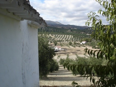 Prodej House,Cordoba,0m2,Finca – Cortijo