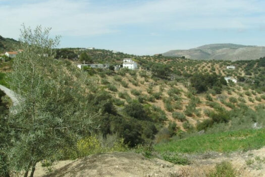 Prodej House,Cordoba,0m2,Finca – Cortijo