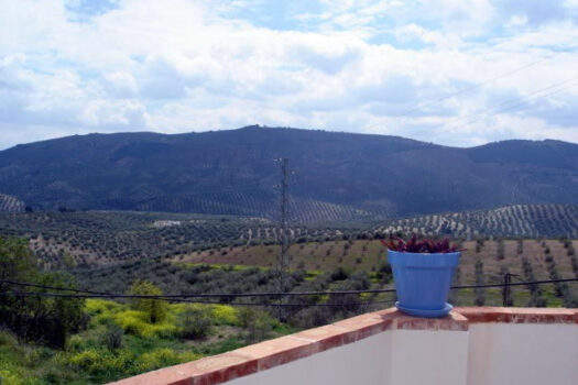 Prodej House,Cordoba,0m2,Finca – Cortijo