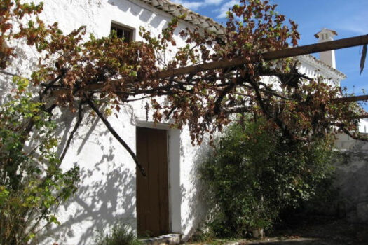 Prodej House,Cordoba,0m2,Finca – Cortijo