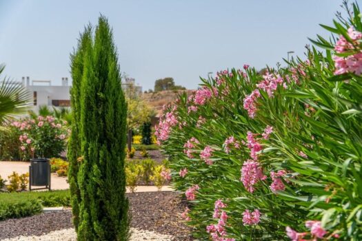 Novostavba moderních bungalovů ve Vistabella Golf