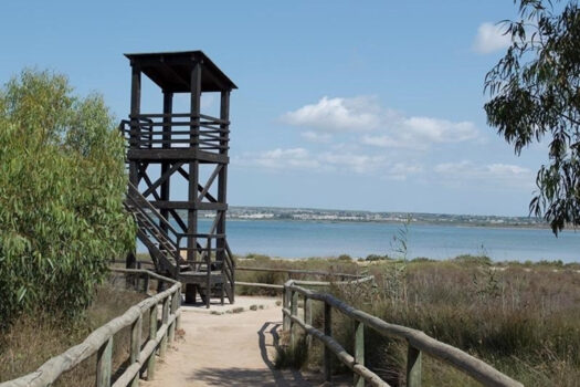 Zrekonstruovaný apartmán se 2 ložnicemi, 200 m od pláže – La Mata