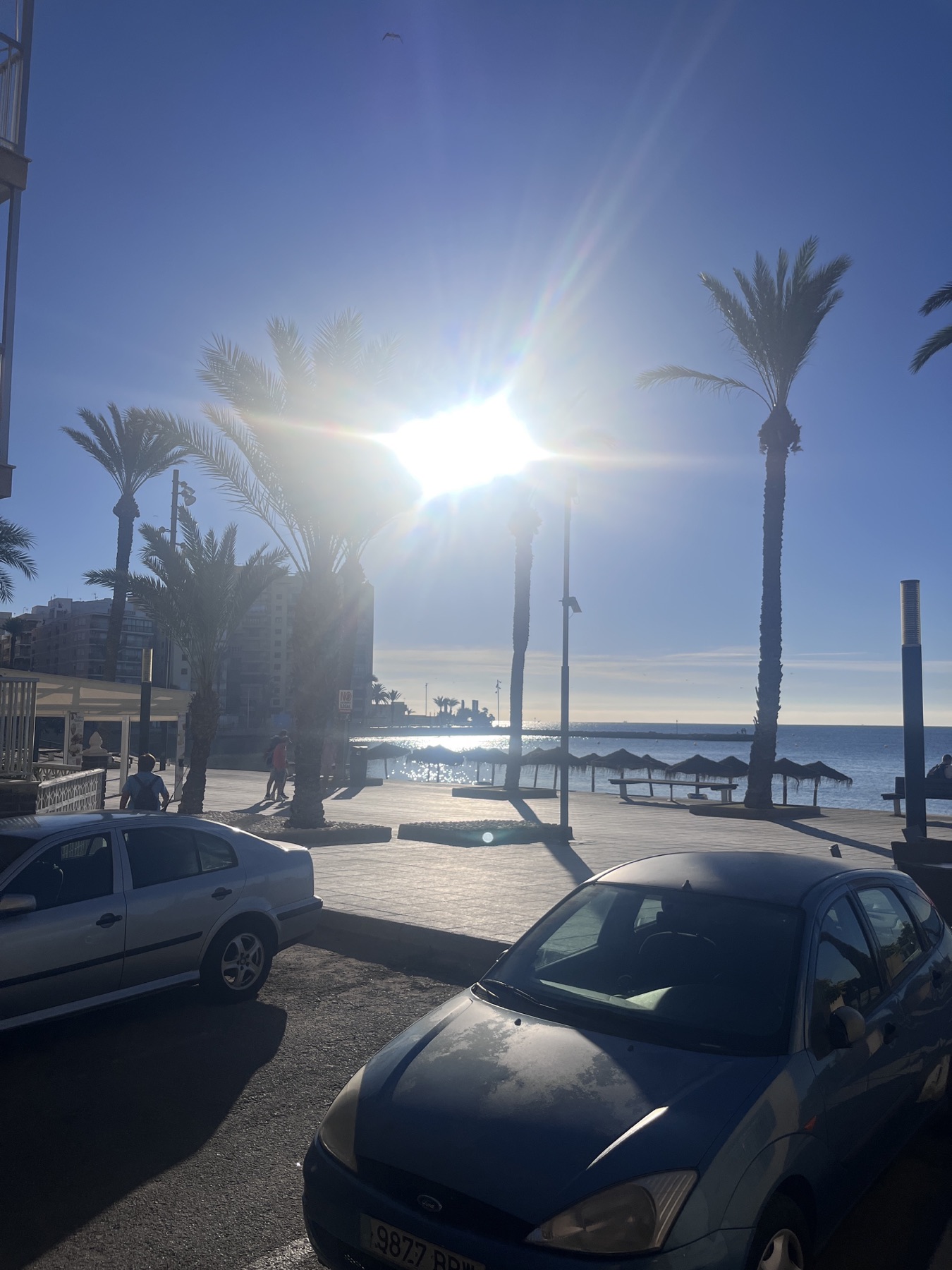 Slunečné nábřeží Torrevieji s palmami a promenádou